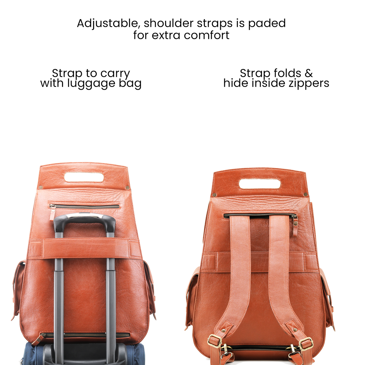 The Elegant Expanse Tan